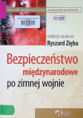 Bezpieczeństwo międzynarodowe po zimnej wojnie