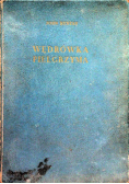 Wędrówka pielgrzyma