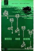 Morska broń Minowa