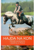 Hajda na koń
