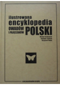 Ilustrowana encyklopedia owadów i pajęczaków Polski