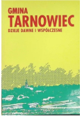 Gmina Tarnowiec Dzieje Dawne I Współczesne