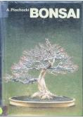 Bonsai