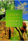 Drzewa przyjazne drzewa lecznicze