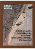 Litostratygrafia i paleotektonika kenozoiku podplejstoceńskiego Wielkopolski