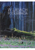 W lasach Podkarpacia