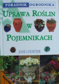 Uprawa roślin w pojemnikach