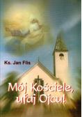 Mój Kościele, ufaj Ojcu!