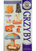 Grzyby