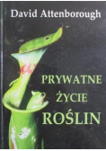 Prywatne życie roślin