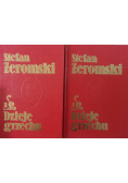 Dzieje grzechu, Tom I - II