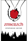 Zmierzch