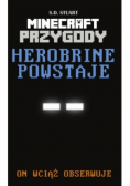 Herobrine powstaje