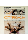 Kotyfikacja