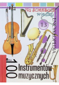 100 instrumentów muzycznych Tom 13