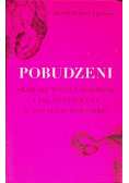 Pobudzeni