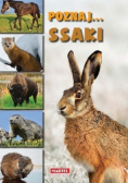 Poznaj... ssaki