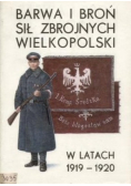 Barwa i broń sił zbrojnych Wielkopolski w latach 1919 - 1920