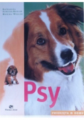 Psy