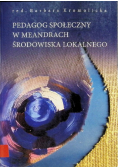 Pedagog społeczny w meandrach środowiska lokalnego