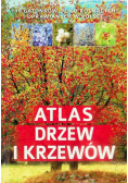 Atlas drzew i krzewów