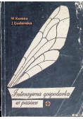 Intensywna gospodarka w pasiece