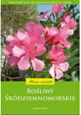 Rośliny śródziemnomorskie