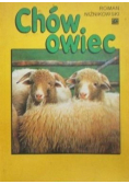 Chów owiec