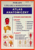 Atlas anatomiczny Nr 42 / 12
