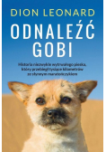 Odnaleźć Gobi