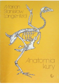 Anatomia kury
