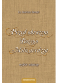 Przed obrazem Bożego Miłosierdzia wybór wierszy
