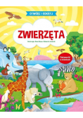 Otwórz i odkryj Zwierzęta