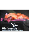Nietoperze Wdeckiego parku krajobrazowego