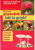 Mój pierwszy przewodnik. Jaki to grzyb?