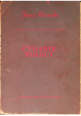 Cyganie polscy