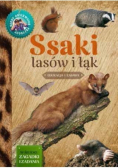 Ssaki lasów i łąk Młody Obserwator Przyrody