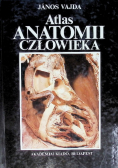 Atlas Anatomii Człowieka Tom II