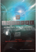 W lustrze, wizerunek mediów własny