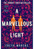 A Marvellous Light