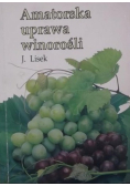 Amatorska uprawa winorośli
