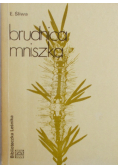 Brudnica mniszka