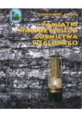 Pamiątki Wałbrzyskiego górnictwa węglowego