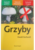 Grzyby
