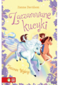 Zaczarowane kucyki. Tęczowe wyścigi