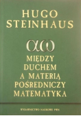 Między duchem a materią pośredniczy matematyka