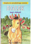 Białek kucyk z Gotlandii Tom 1