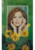 Czarna godzina