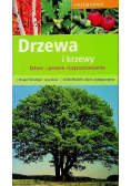 Drzewa i krzewy łatwe i pewne rozpoznawanie