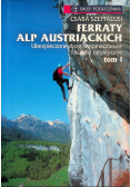 Ferraty Alp Austriackich Tom 2